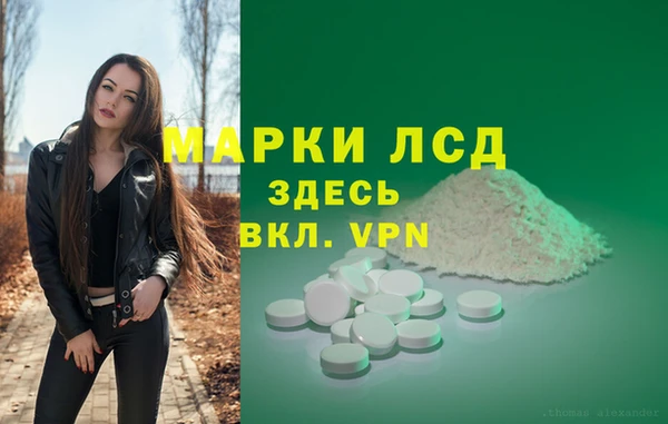 СК Алзамай