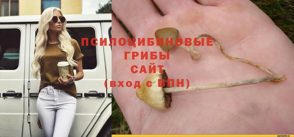 СК Алзамай