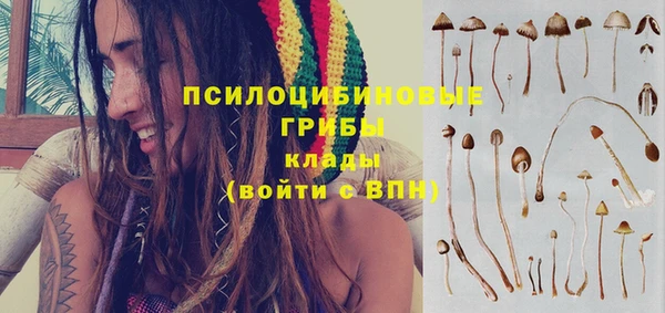 СК Алзамай