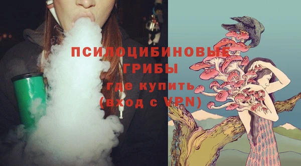СК Алзамай